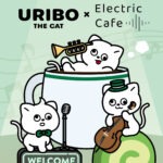 IMG 6433 - URIBO×Electric Cafeファイナル交流会 - 2025.11.15（Sat）- 5